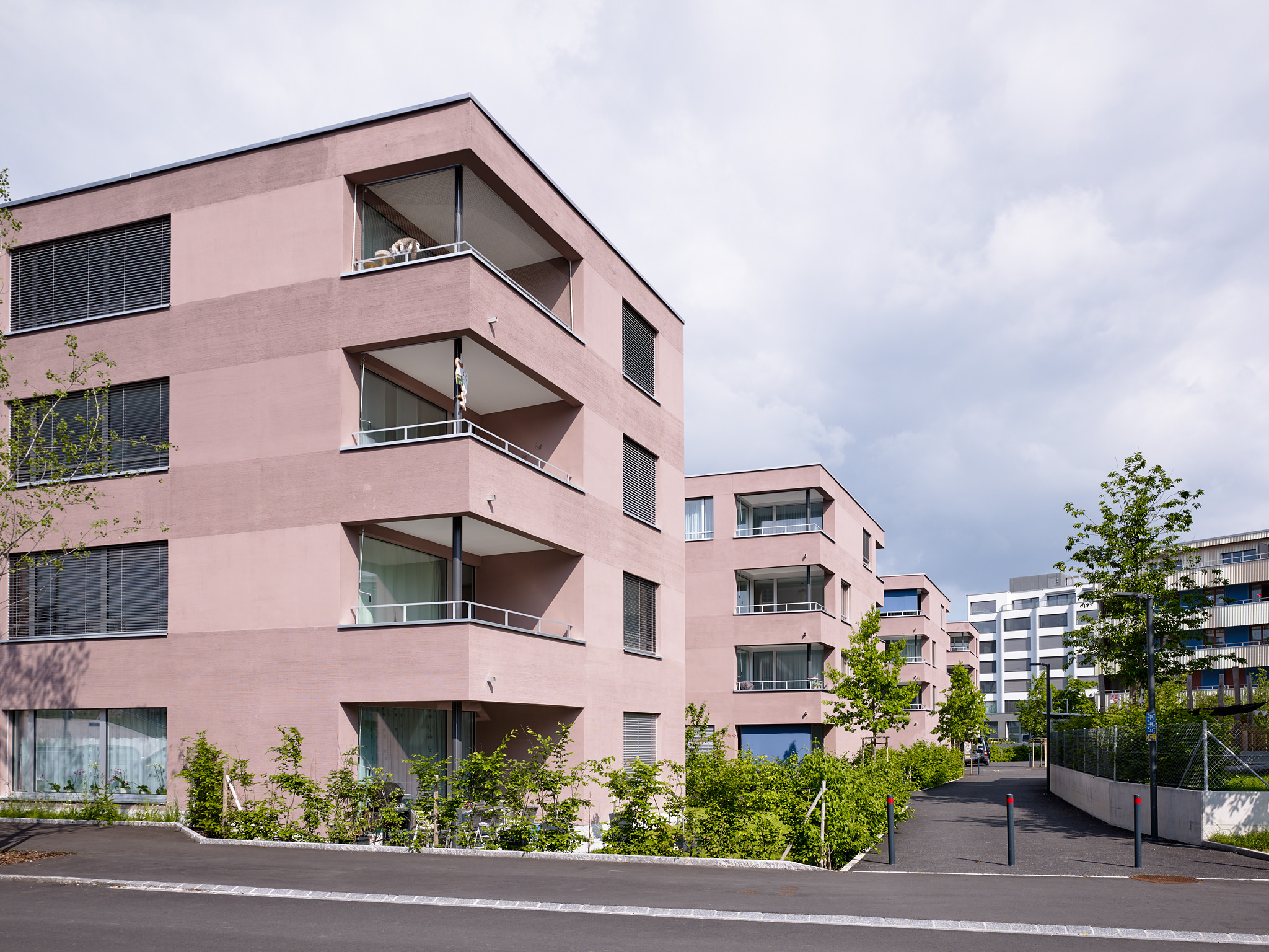 E15551 Alpa 051032 SCREEN